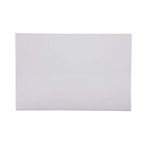 Muro Blanco Bte. 20X30 1.50M2 (122826)