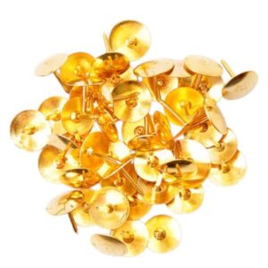 CHINCHE DORADOS 100GRS