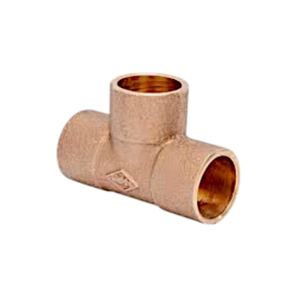 FIBE0319.jpg FIBE0319.jpg
