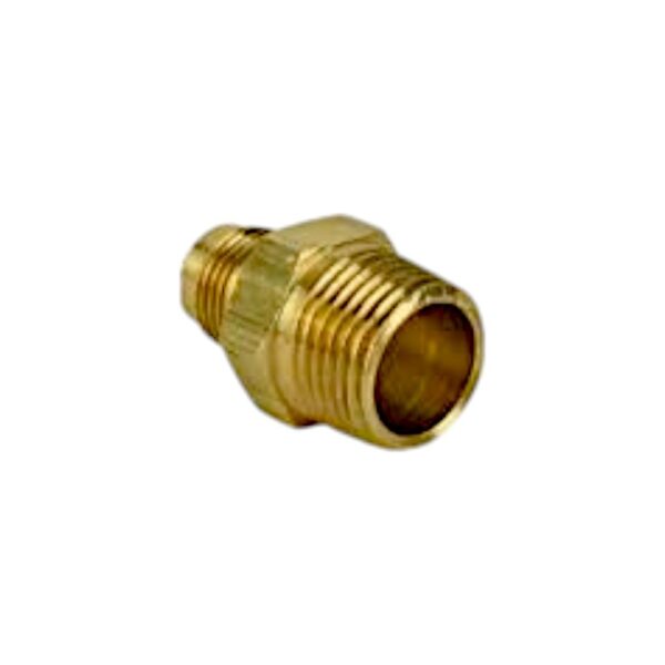 FIBE3581.jpg