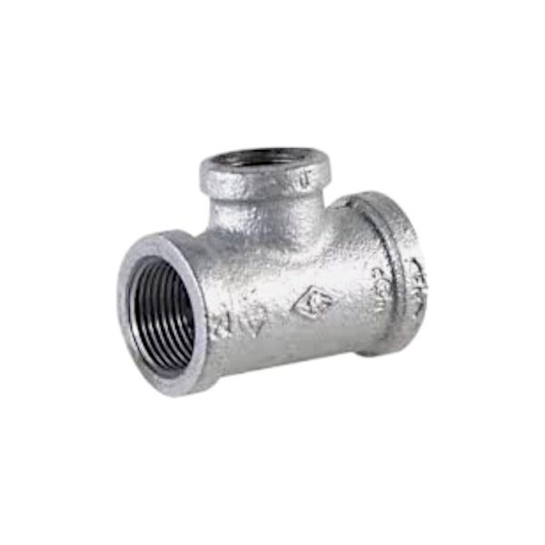 FIGA3711.jpg FIGA3711.jpg