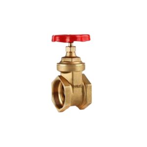 Valvula Compuerta 2  Hi Bronce