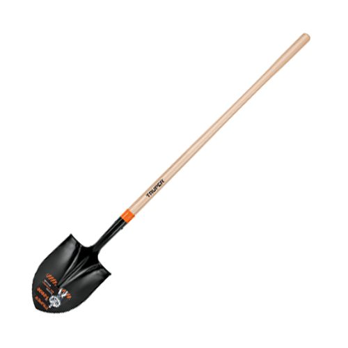 HEPA1680.jpg HEPA1680.jpg